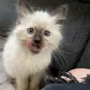 PennyForseth - @pennyforseth - TikTok