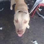 Seth Tagle Peraza - @sethtagleperaza - Instagram