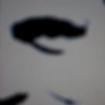 Seth Pollock - @circusact - Instagram