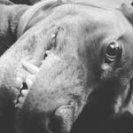 Seth - @seth__pryor - Instagram