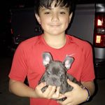 Seth Ramirez - @seth_ramirez73 - Instagram