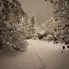 normalman - @ready.seth.gooo - TikTok