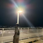 Seth - @readysethhhgoo - Instagram