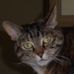 Seth Reiff - Facebook
