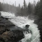 Seth Reimer - @reimerseth - Instagram