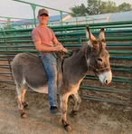 Seth Reimer - Facebook