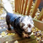 Jeremiah Seth Renfroe - @sethrenfroe0912 - Instagram