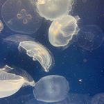 Seth Richards - @aregrettableusername - Instagram