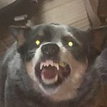Seth Richards - @icewulfen - Instagram