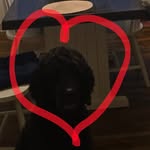 Seth Rittenhouse - @seth_rittenhouse - Instagram