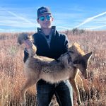 Seth Ross - @sethhross - Instagram