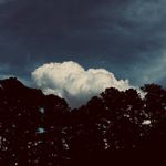 Seth Rouser - @rouserseth - Instagram