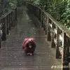 donny - @seth.rowe - TikTok