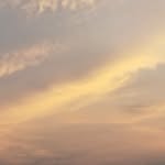 seth ji - @seth________roy - Instagram