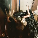 Seth Ruby - @sethruby3 - Instagram