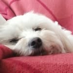 Seth rudd - @rudd_seth - Instagram