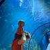 Seth Rudd - Facebook