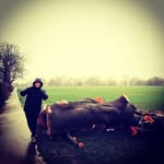 seth rudd - @seth_rudd_ - Instagram