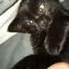 Sethryder_ - @sethryder_ - TikTok