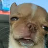 Seth Salazar - @sethsalazar7 - TikTok