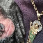 seth salazar - @sethsalazar110 - Instagram