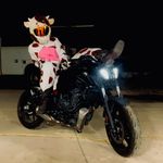 Seth Sales - @sethsales - Instagram