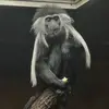 Seth Salinas - @sj54545 - TikTok
