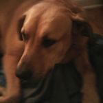 seth schneider - @sethschneider2008 - Instagram