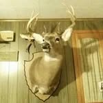 Seth Schoendorf - @sethschoendorf - Instagram