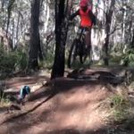 Sethschramm - @sethschramm546 - Instagram