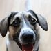 Seth Schubert - Facebook