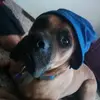 sethscully - @extrempinch - TikTok
