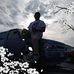 Seth Sears - Facebook