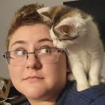 Seth Sears - @seth_sears - Instagram