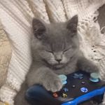 Seth Sellers - @sethsellers72 - Instagram