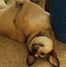 Seth Sewell - Facebook