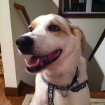 Sethshafer - @shaferseth101010 - Instagram