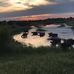 Seth Shaver - Facebook