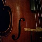 Seth Shelton Music - @sethsheltonmusic - Instagram
