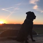 Seth Spivey - @seth_spivey - Instagram