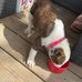 Seth Stallings - Facebook