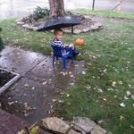 Seth Stephenson - @sethpieman - Instagram