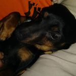 SETH STEPHENSON - @sethstephenson7 - Instagram