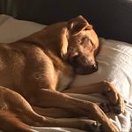 Seth Stillwell - @april22tf - Instagram