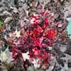 sethstratton525 - @sethstratton525 - TikTok