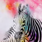 Seth Straub - Facebook