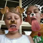 seth stuart - @puglife.15 - Instagram