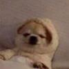 sethywethy - @sethsuarez344 - TikTok