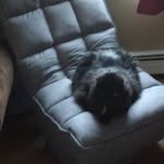 Seth R Sullivan - @sethsullivan54 - Instagram