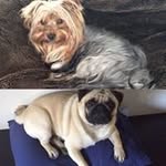 Ethel Sundquist - @ethelsundquist - Instagram